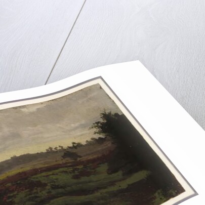 Marshlands, mid-1850s by Auguste Francois Bonheur