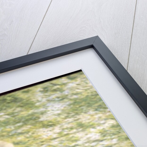 Sifting Shadows by Bolton Coit Brown