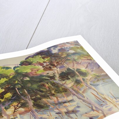 Port of Soller, 1907-08 by John Singer Sargent