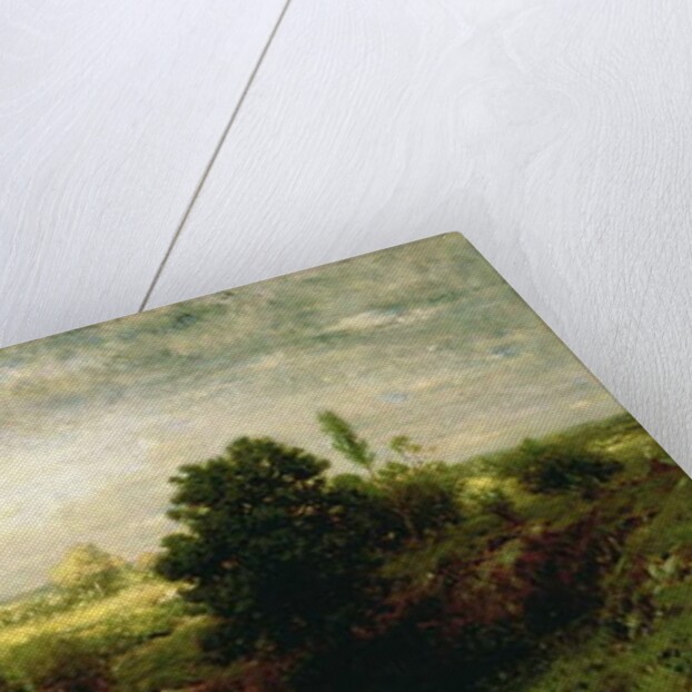 Keene Valley, c.1884-86 by Alexander Helwig Wyant