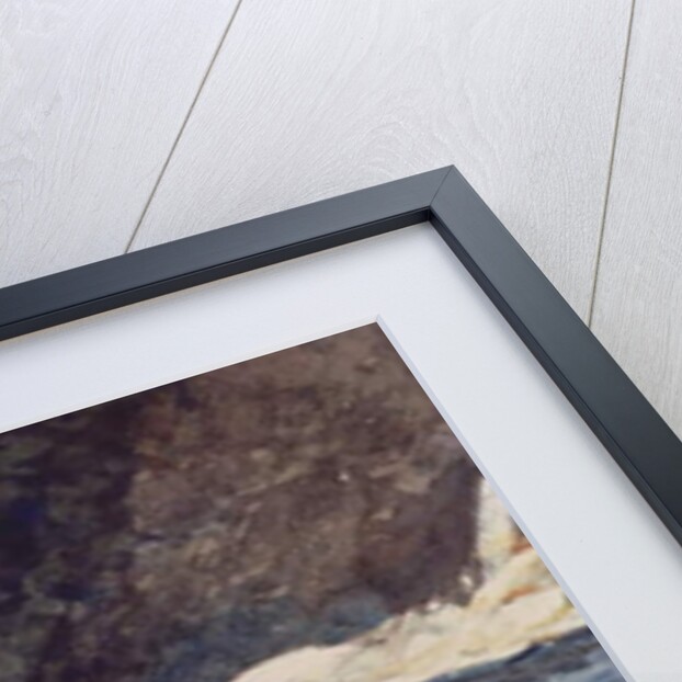 Under the Falls, the Grand Discharge, 1895 by Winslow Homer