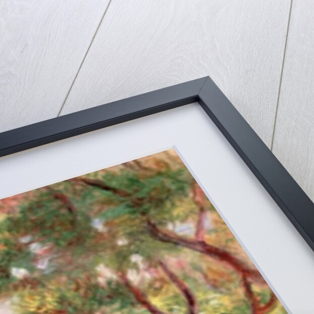 The Vines at Cagnes, 1906 by Pierre Auguste Renoir