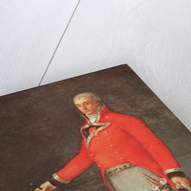 Taddeo Bravo de Rivero, 1806 by Francisco Jose de Goya y Lucientes