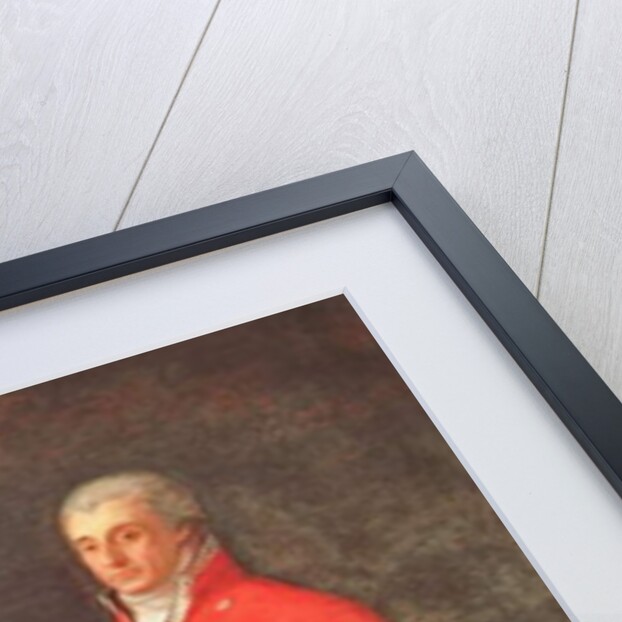 Taddeo Bravo de Rivero, 1806 by Francisco Jose de Goya y Lucientes