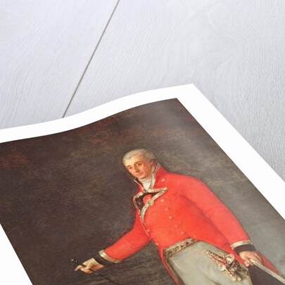 Taddeo Bravo de Rivero, 1806 by Francisco Jose de Goya y Lucientes