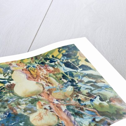 Gourds, c.1905 by John Singer Sargent