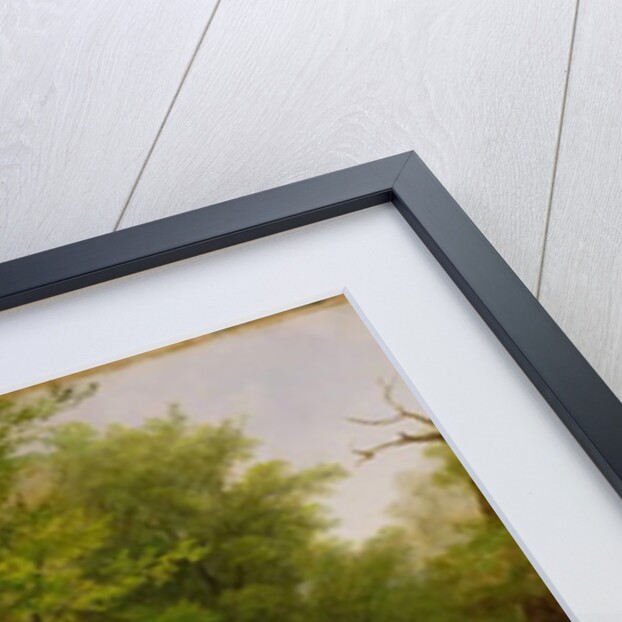 Birch and Maples, 1855 by Asher Brown Durand