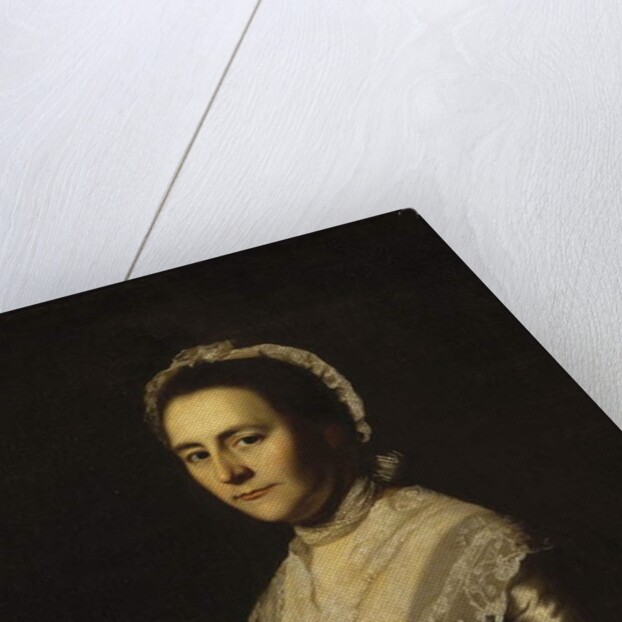 Elizabeth Goldthwaite 1770 by John Singleton Copley