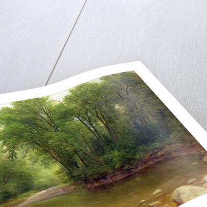 A Catskill Stream, 1867 by Asher Brown Durand