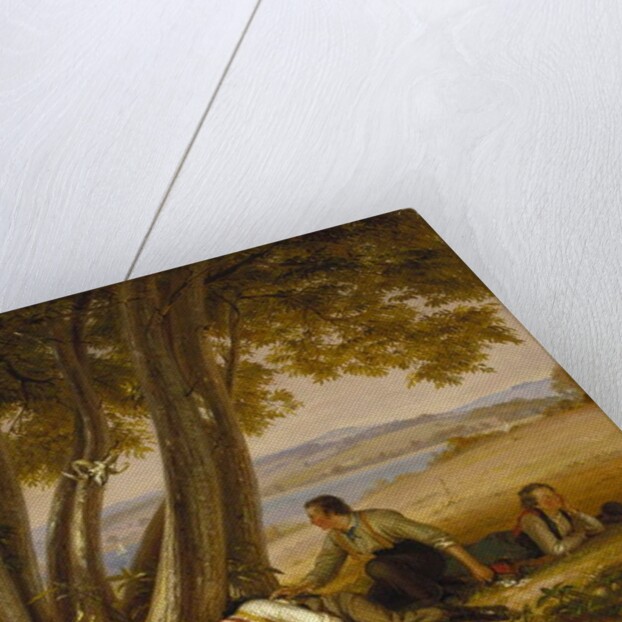 Playing Truant or Boys Caught Napping in a Field, 1848 by William Sidney Mount