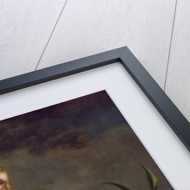 Portrait of a Woman c.1762 by Joseph Jonathan Blackburn