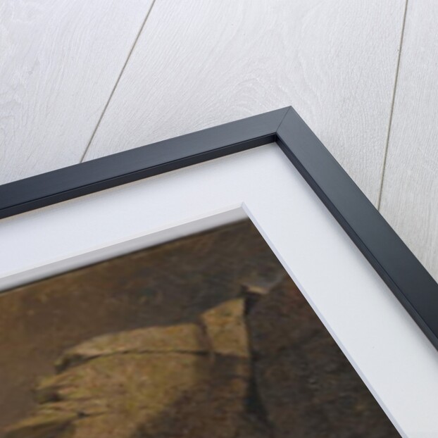 A Cliff in the Kaatskills, c.1863 by Jervis McEntee