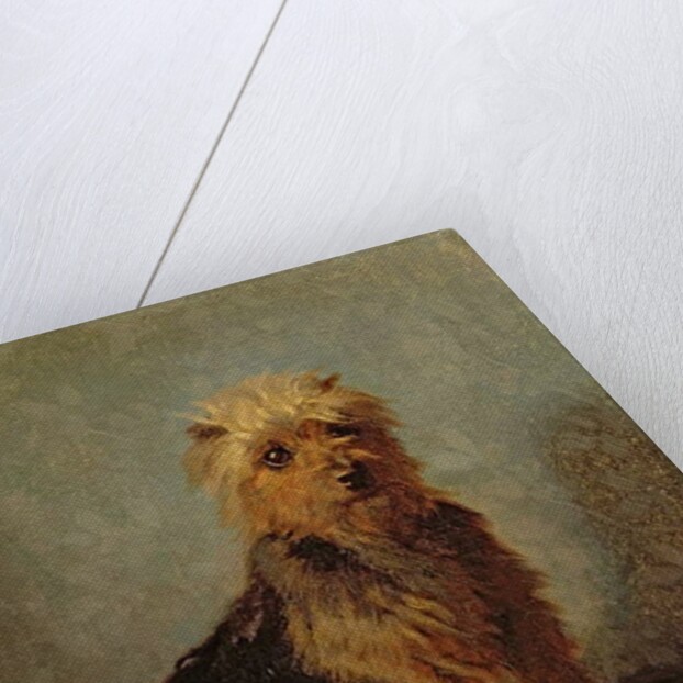 Chadwick's Dog, 1874 by Abbott Handerson Thayer