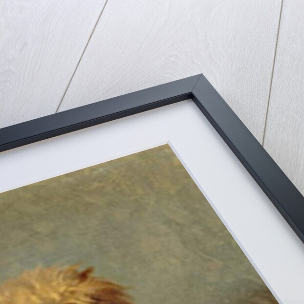 Chadwick's Dog, 1874 by Abbott Handerson Thayer