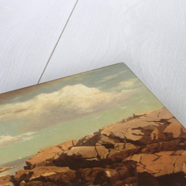 After a Shower, Nahant, Massachusetts, 1864 by William Stanley Haseltine