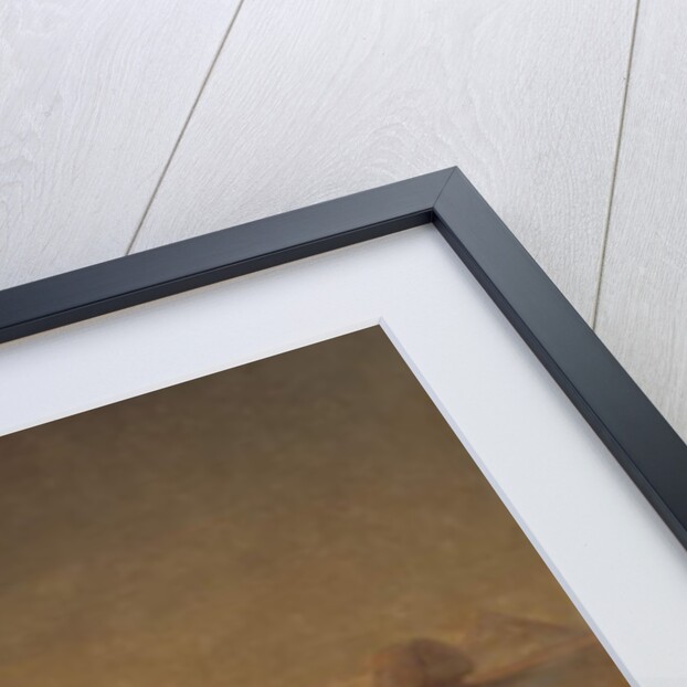 Henry Abbott M.D, c.1854 by Thomas Hicks