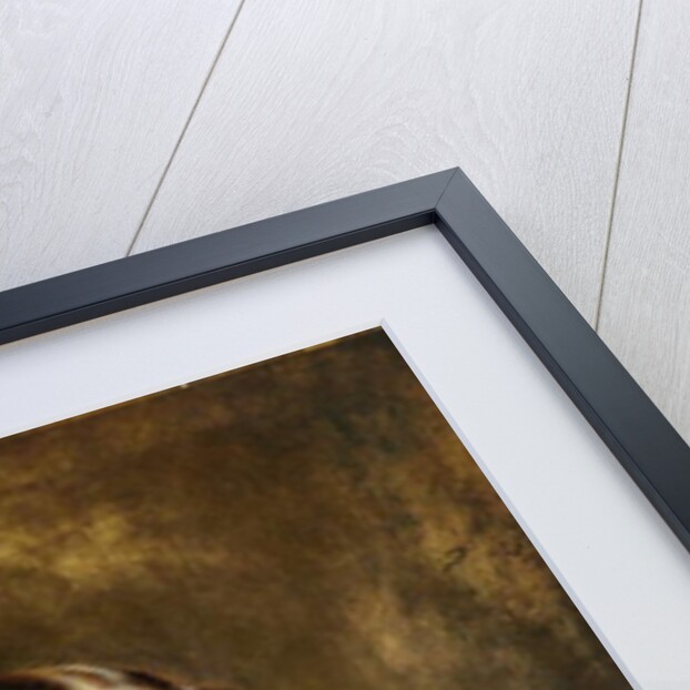 Portrait of a Woman, c.1825 by Henry Inman