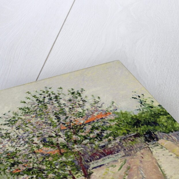 Apple Tree in Blossom, c.1885 by Gustave Caillebotte