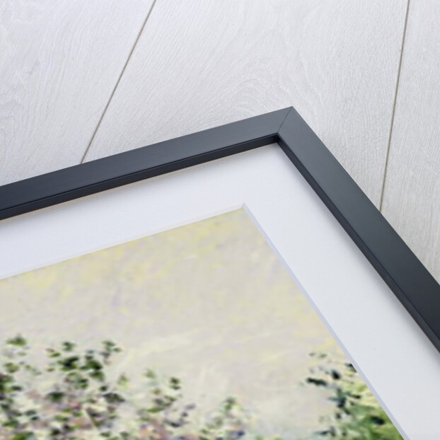 Apple Tree in Blossom, c.1885 by Gustave Caillebotte