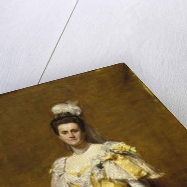 Portrait of Emily Warren Roebling, 1896 by Charles Emile Auguste Carolus-Duran