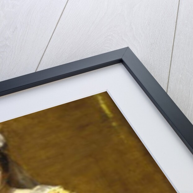 Portrait of Emily Warren Roebling, 1896 by Charles Emile Auguste Carolus-Duran