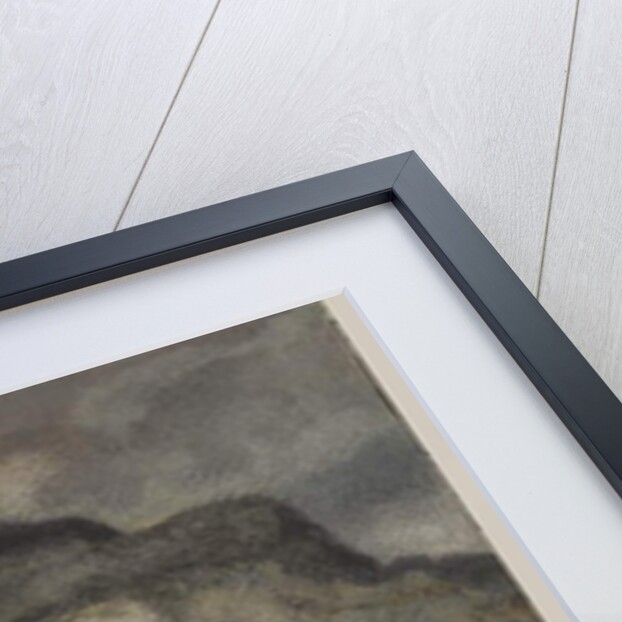 Rolling Tiger, c.1840 by Antoine Louis Barye