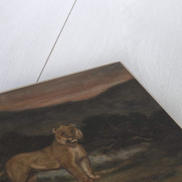 Standing Lioness by Antoine Louis Barye