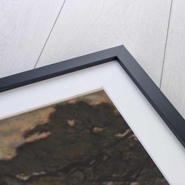 Bucks Near a Tree by Antoine Louis Barye