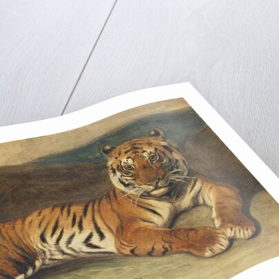 Tiger Reclining by Antoine Louis Barye