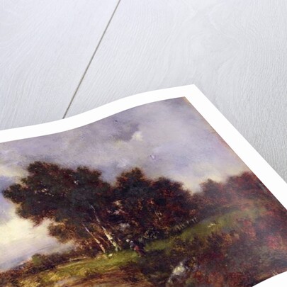 Trees and Pool, c.1845 by Narcisse Virgile Diaz de la Pena