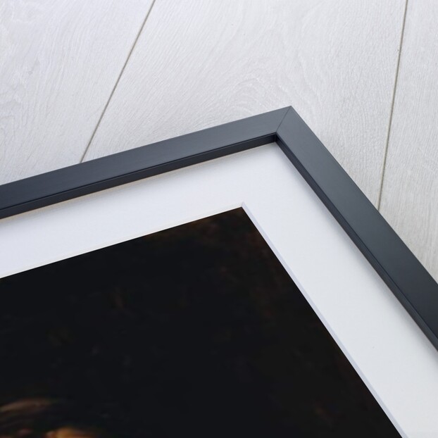 Portrait of a Man, c.1876 by Frank Duveneck