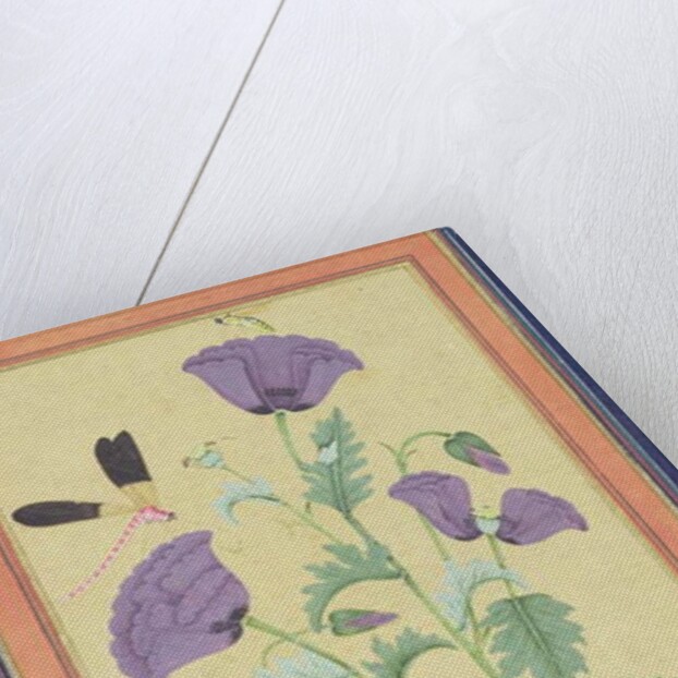 Finch, Poppies, Dragonfly and Bee, c.1650-70 by Indian School