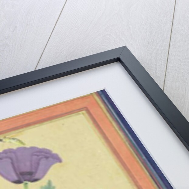 Finch, Poppies, Dragonfly and Bee, c.1650-70 by Indian School