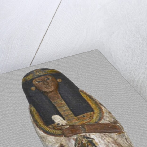 Coffin of the Lady of the House, Weretwahset by Egyptian 19th Dynasty
