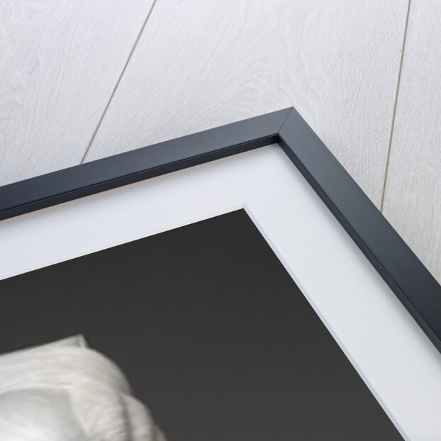 Mrs Charles Dodge, c.1830-40 by Charles Dodge