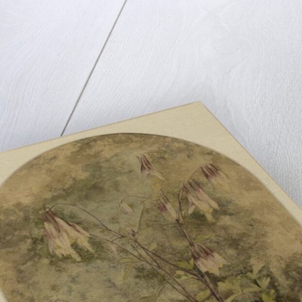 Wildflowers by John William Hill