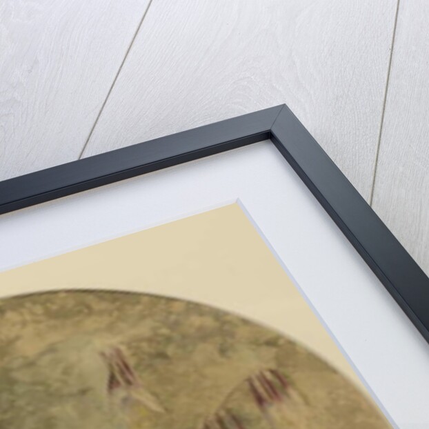 Wildflowers by John William Hill