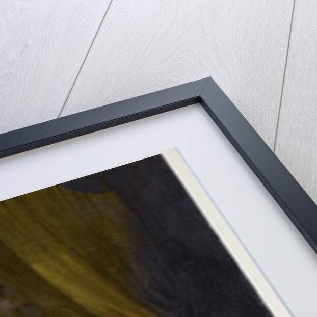 Wolfert's Will, 1856 by John Quidor