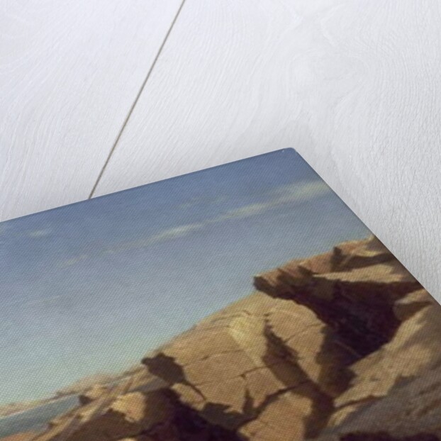 Rocks at Nahant, 1864 by William Stanley Haseltine