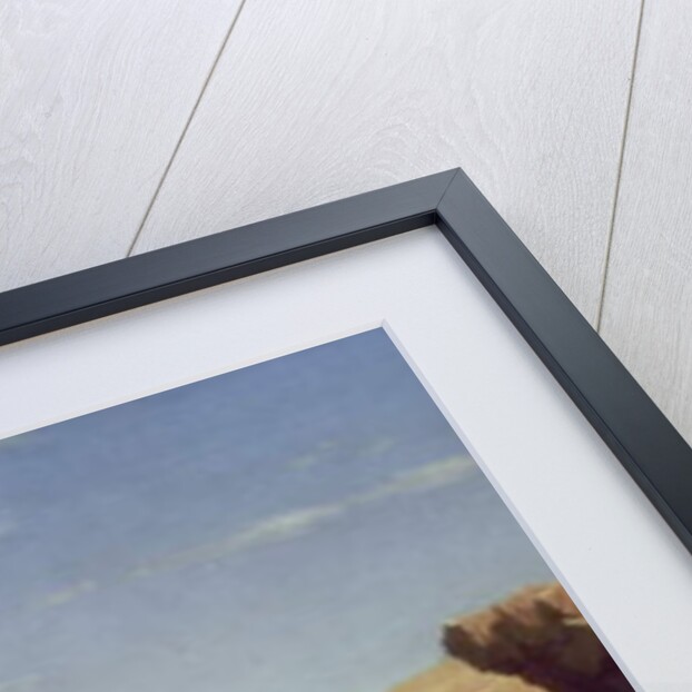 Rocks at Nahant, 1864 by William Stanley Haseltine