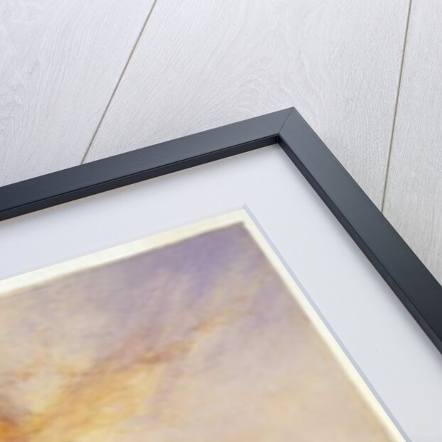 Chicago World's Fair, 1894 by Thomas Moran