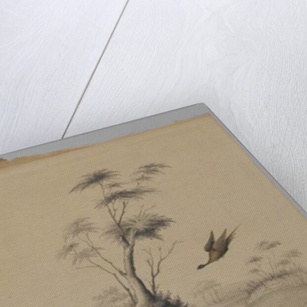 Three Pheasants, 1873 by James Ryder van Brunt