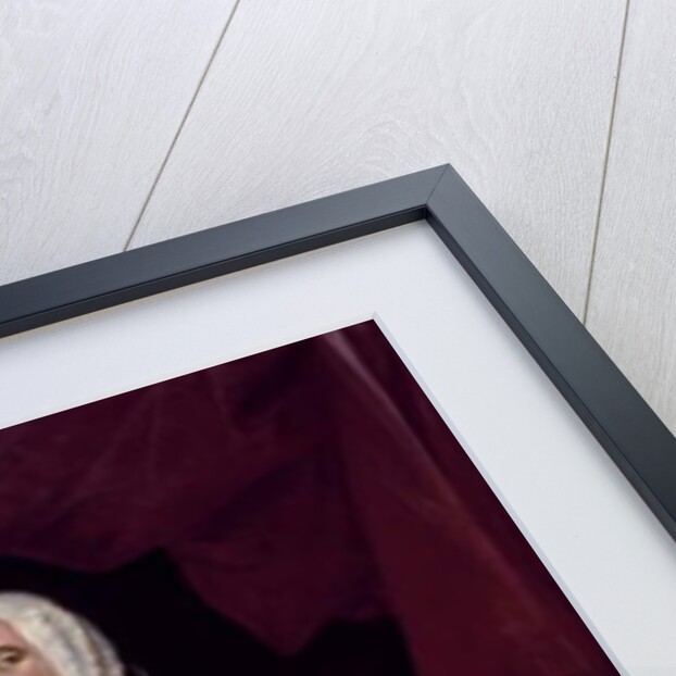 Don Juan Xavier Joachín Gutiérrez Altamirano Velasco, Count of Santiago de Calimaya, 1752 by Miguel Cabrera