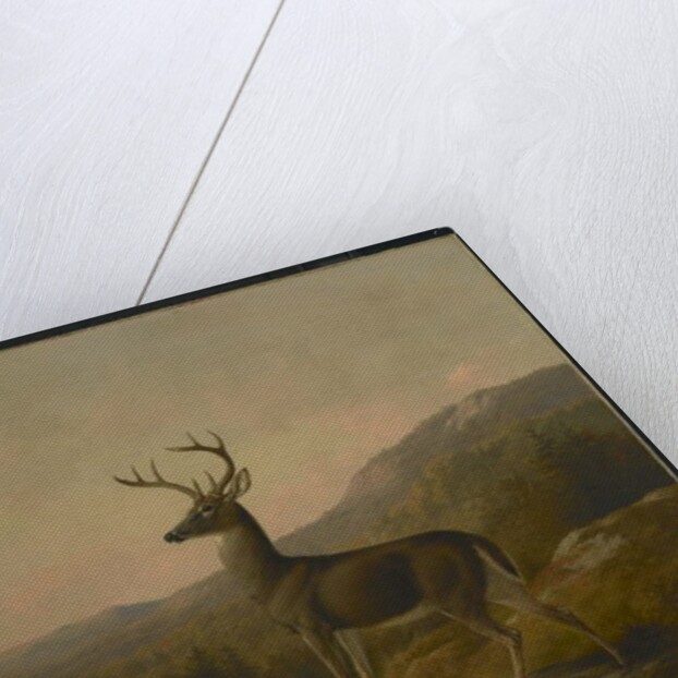 Deer, 1855 by Thomas Hewes Hinckley