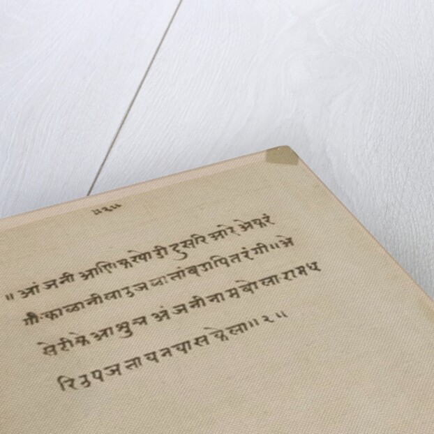 Horse by Indian School