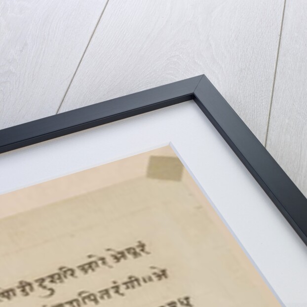 Horse by Indian School