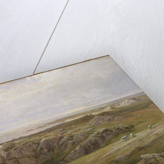 Lily Pond, Newport, 1877 by William Trost Richards