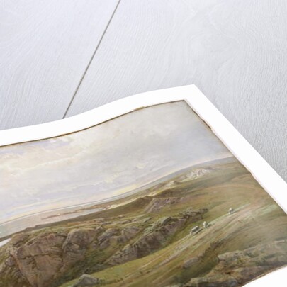 Lily Pond, Newport, 1877 by William Trost Richards