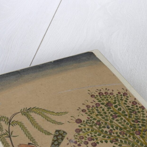 Seated Princess with Attendant and Lion, c.1750 by Indian School