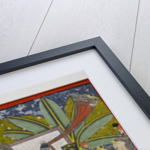 Sri Nathaji, c.1775 by Indian School